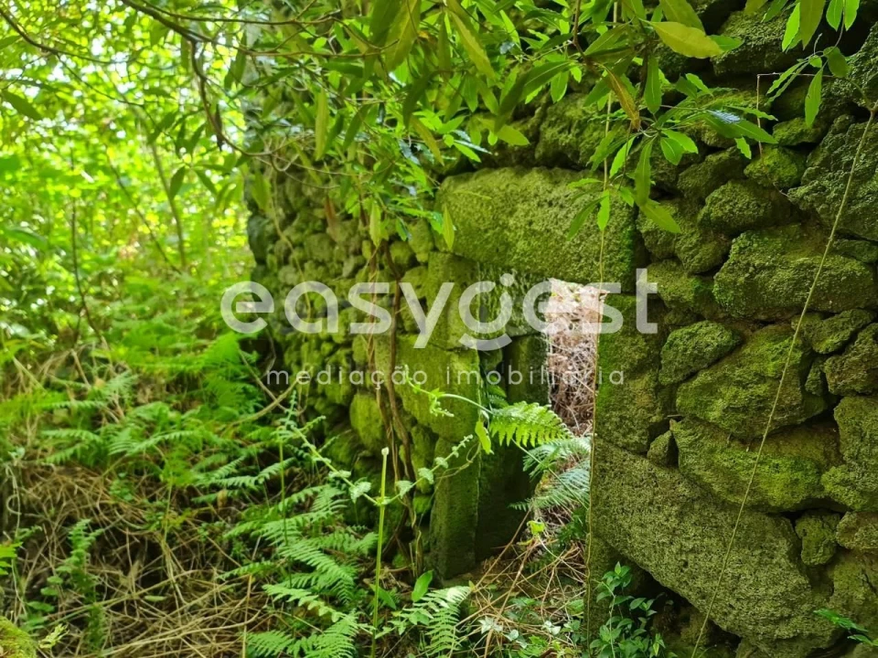 Moradia T1 para Venda em São João Foto 6