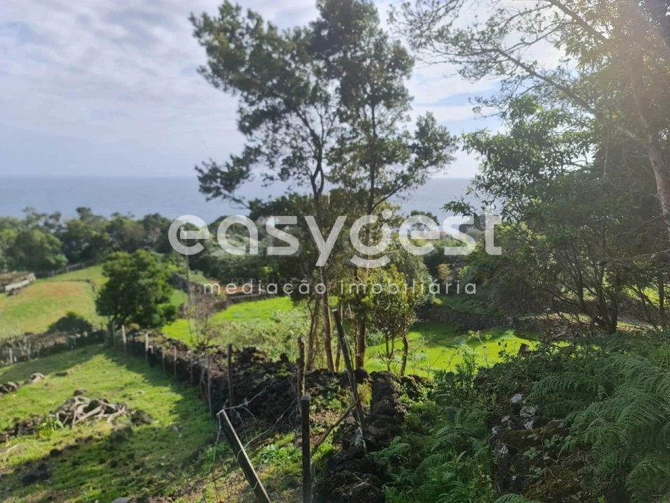 Moradia T1 para Venda em São João Foto 7