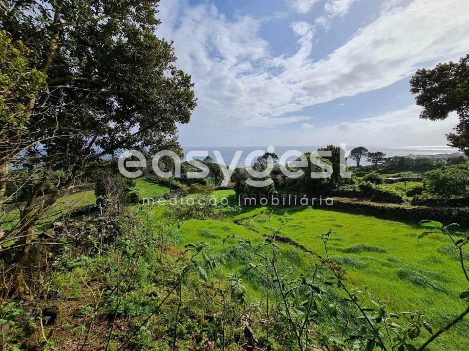 Moradia T1 para Venda em São João Foto 9