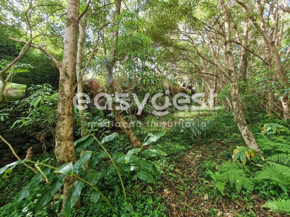 Moradia T1 para Venda em São João Foto 10