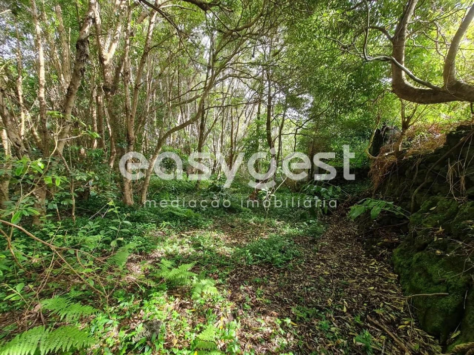 Moradia T1 para Venda em São João Foto 12