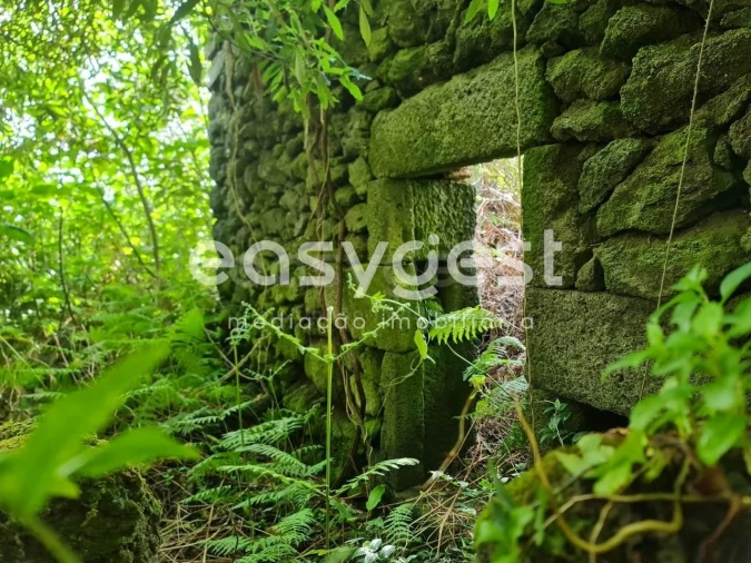 Moradia T1 para Venda em São João Foto 1