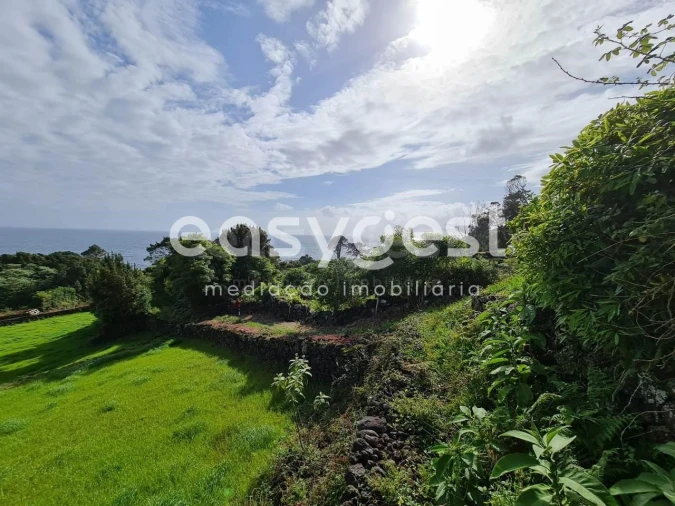 Moradia T1 para Venda em São João Foto 8