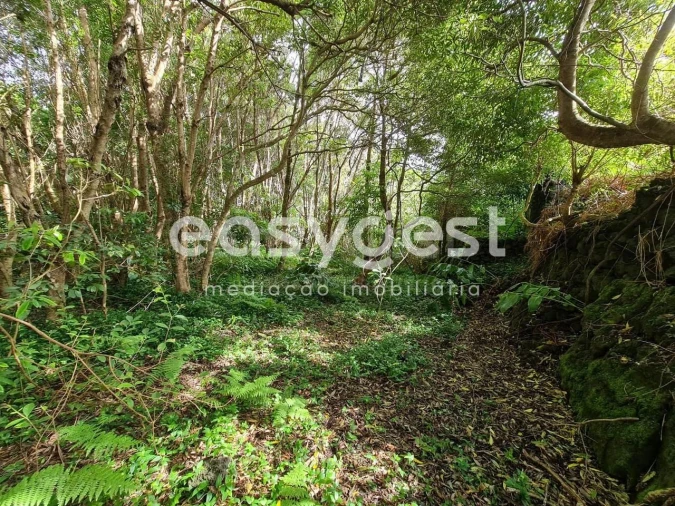 Moradia T1 para Venda em São João Foto 12