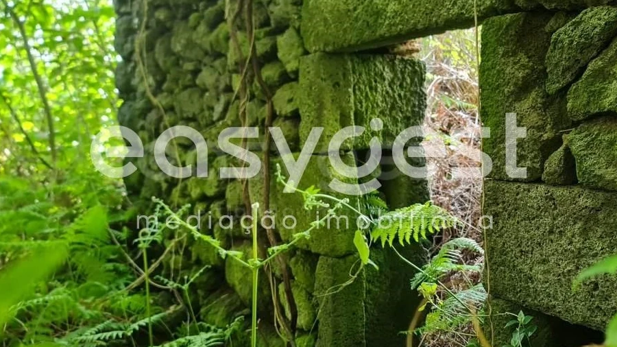 Imagem imóvel