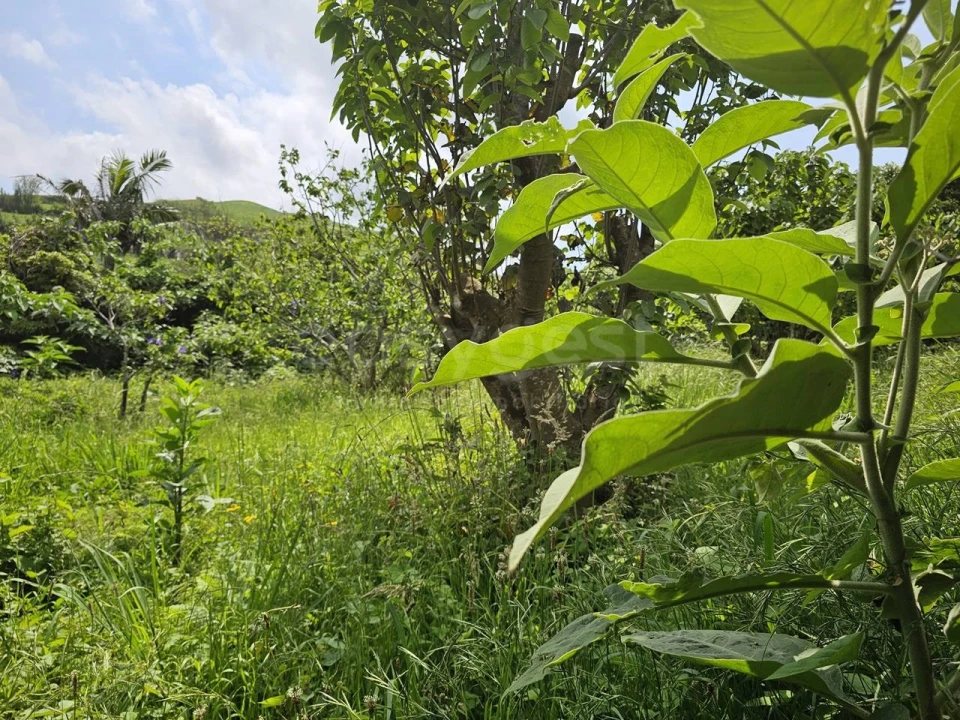 Terreno para Venda em Rabo de Peixe Foto 9