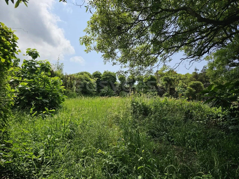 Terreno para Venda em Rabo de Peixe Foto 12