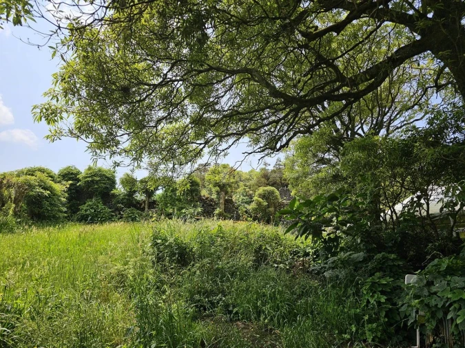 Terreno para Venda em Rabo de Peixe Foto 10