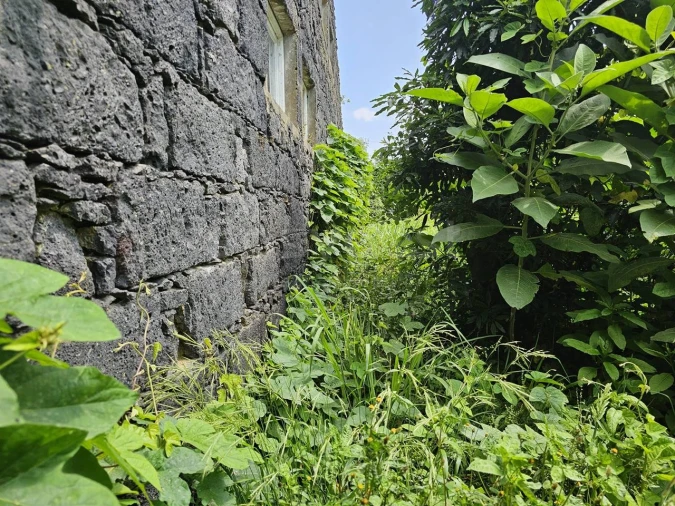 Terreno para Venda em Rabo de Peixe Foto 11