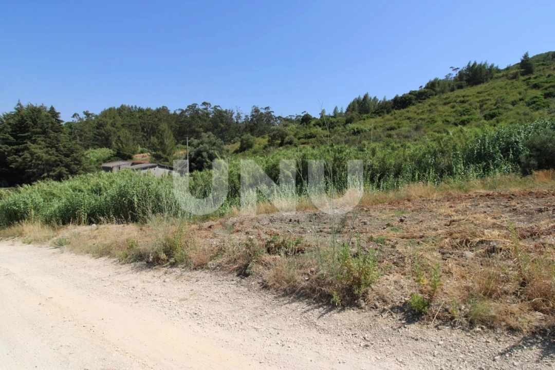 Terreno Agricola ou Rústico para Venda em Vila Franca de Xira Foto 3