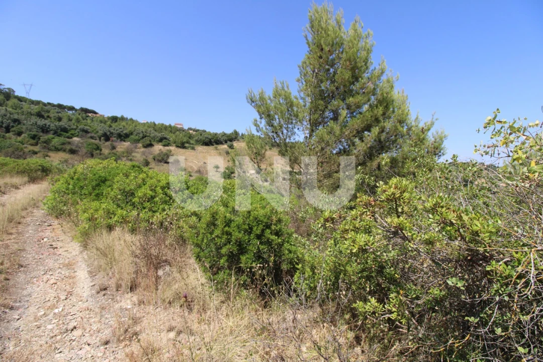 Terreno Agricola ou Rústico para Venda em Vila Franca de Xira Foto 7