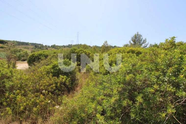 Terreno Agricola ou Rústico para Venda em Vila Franca de Xira Foto 4