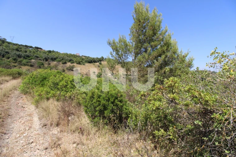 Terreno Agricola ou Rústico para Venda em Vila Franca de Xira Foto 7