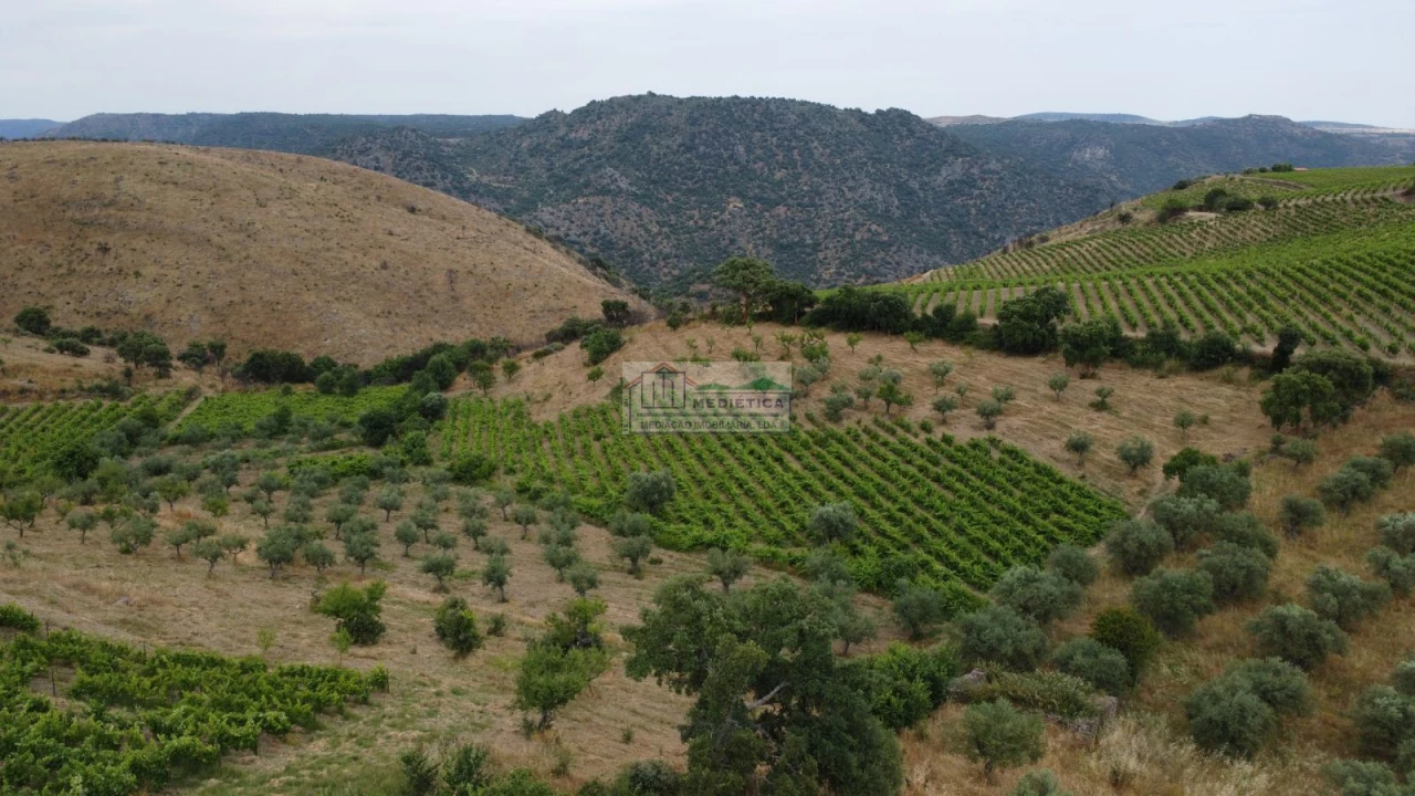 Quinta para Venda em Freixo de Espada a Cinta e Mazouco Foto 13