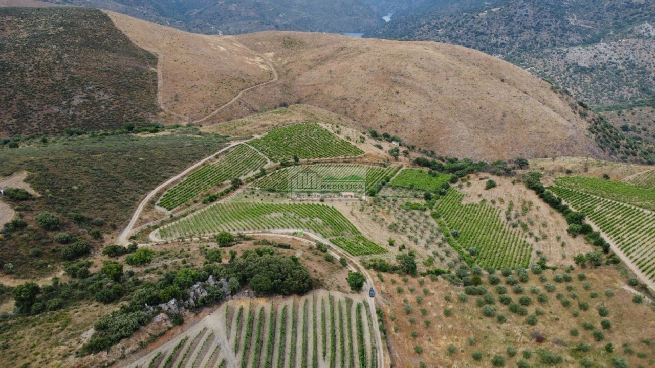 Quinta para Venda em Freixo de Espada a Cinta e Mazouco Foto 17