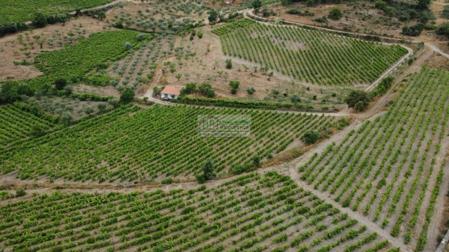 Quinta para Venda em Freixo de Espada a Cinta e Mazouco Foto 2