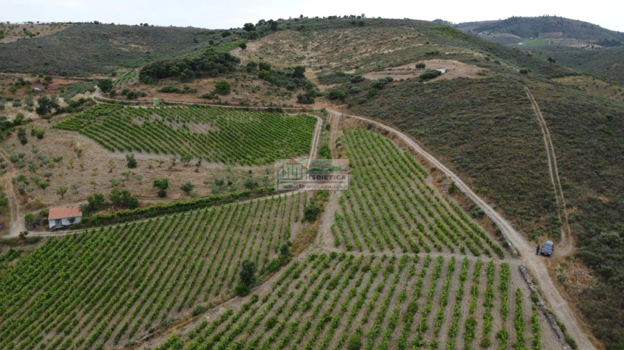 Quinta para Venda em Freixo de Espada a Cinta e Mazouco Foto 7