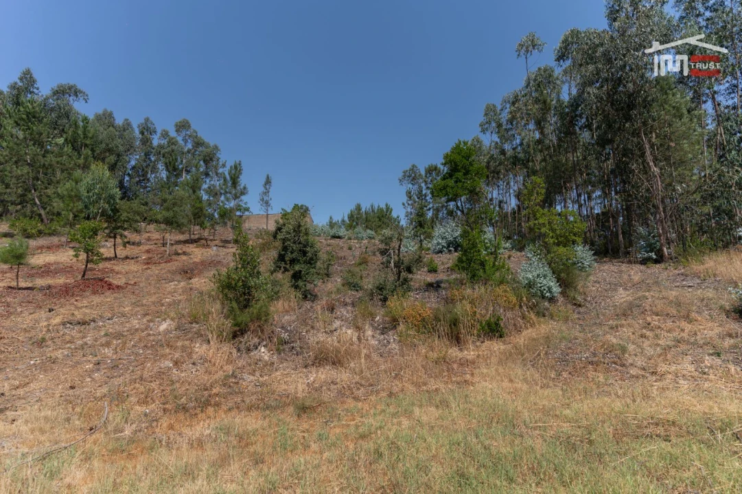 Terreno P/ Prédio para Venda em Nossa Senhora das Misericordias Foto 4