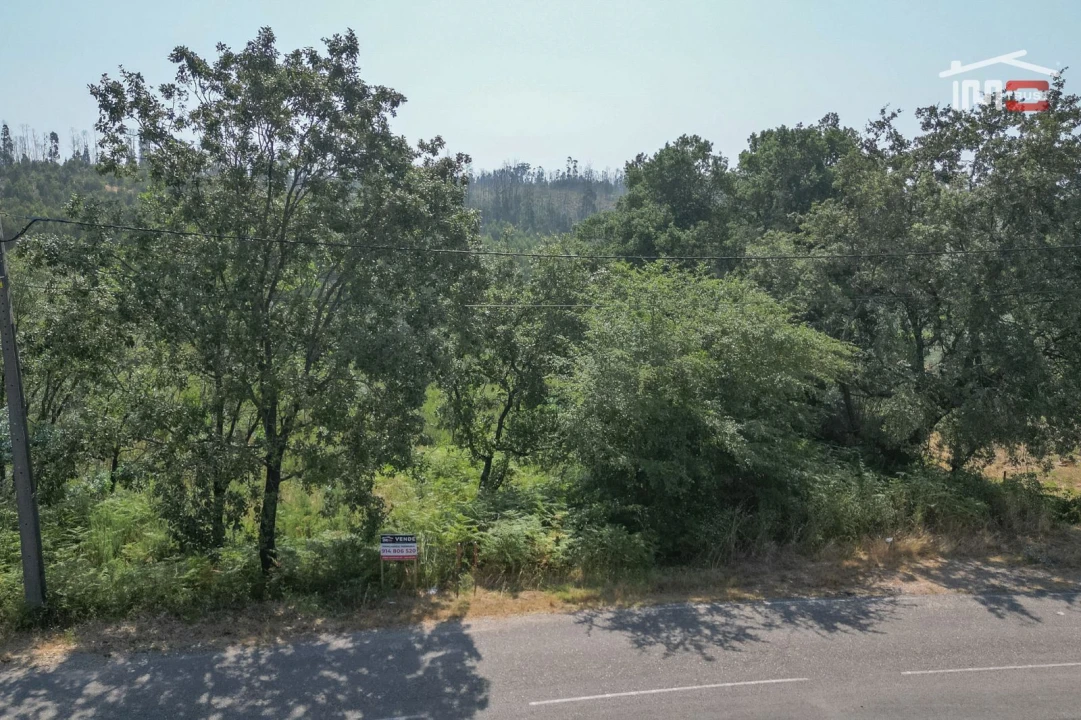 Terreno Misto para Venda em Alburitel Foto 3