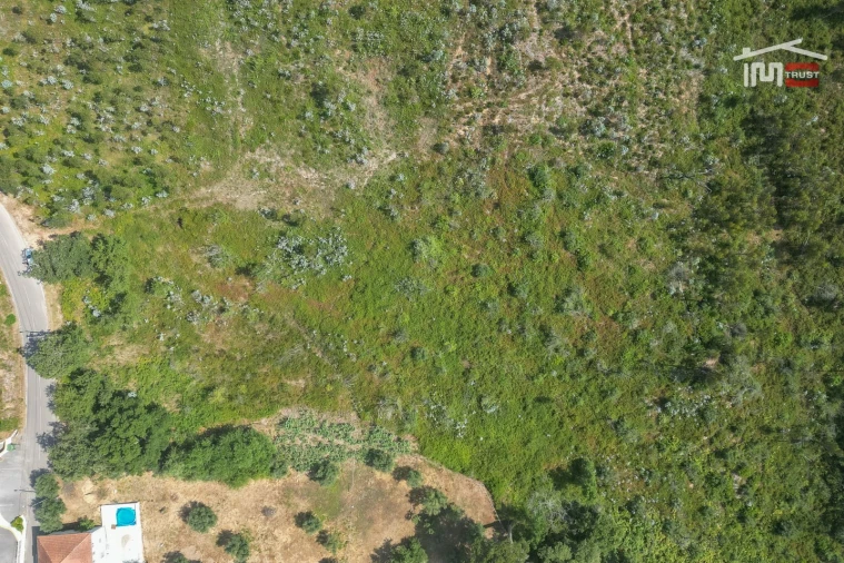 Terreno Misto para Venda em Alburitel Foto 4