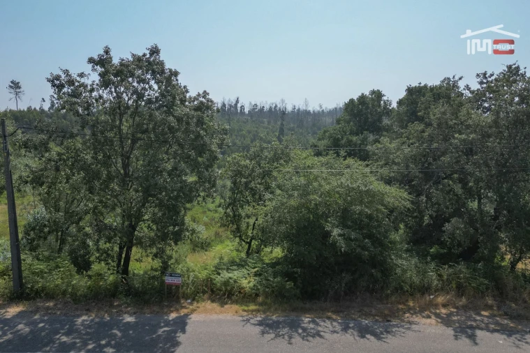 Terreno Misto para Venda em Alburitel Foto 15