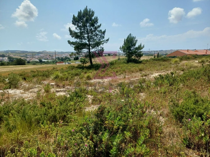 Terreno para Venda em A dos Cunhados e Maceira Foto 7