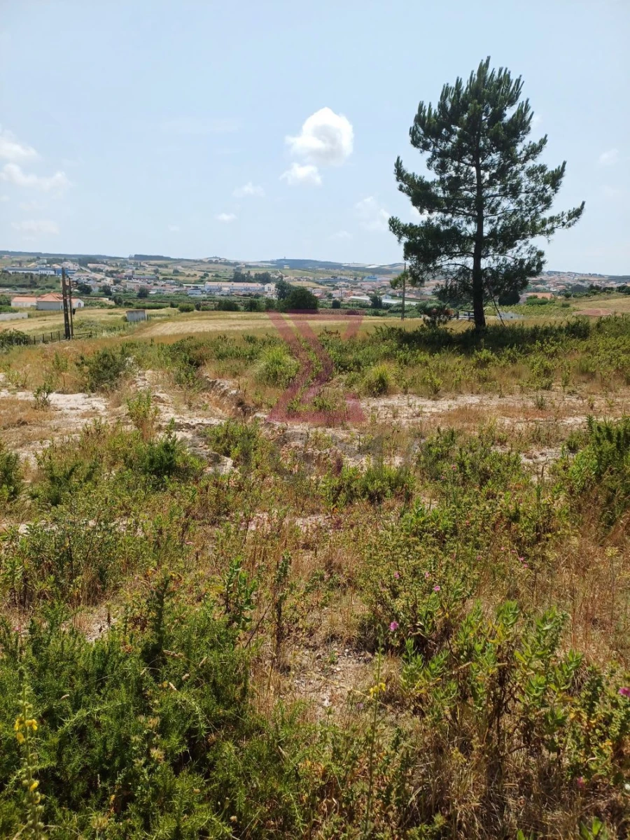 Terreno para Venda em A dos Cunhados e Maceira Foto 3