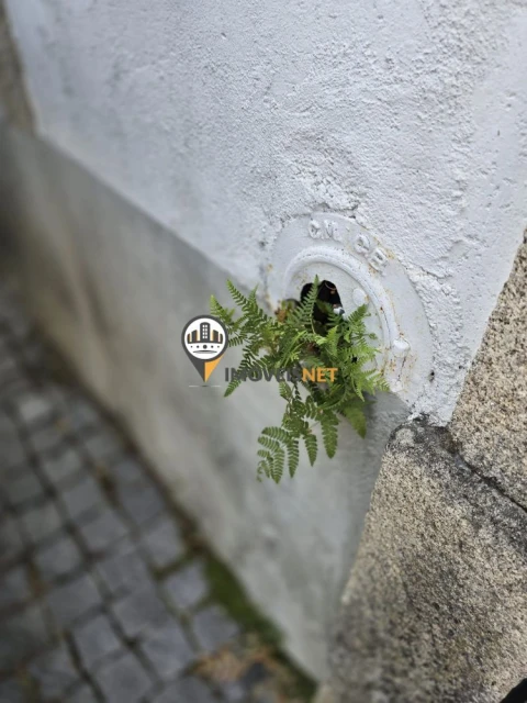 Moradia T6 para Venda em Castelo Branco