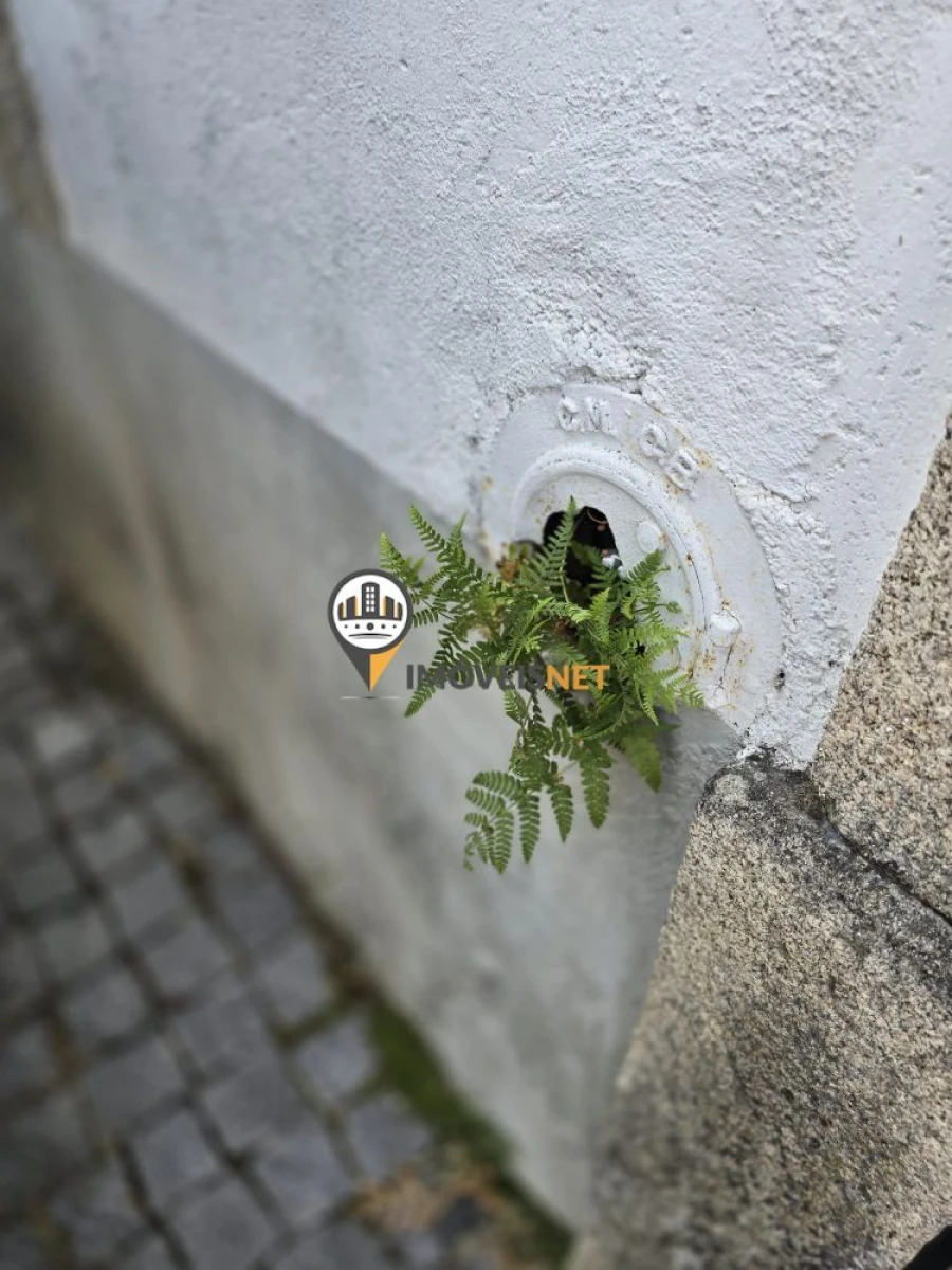 Moradia T6 para Venda em Castelo Branco Foto 5