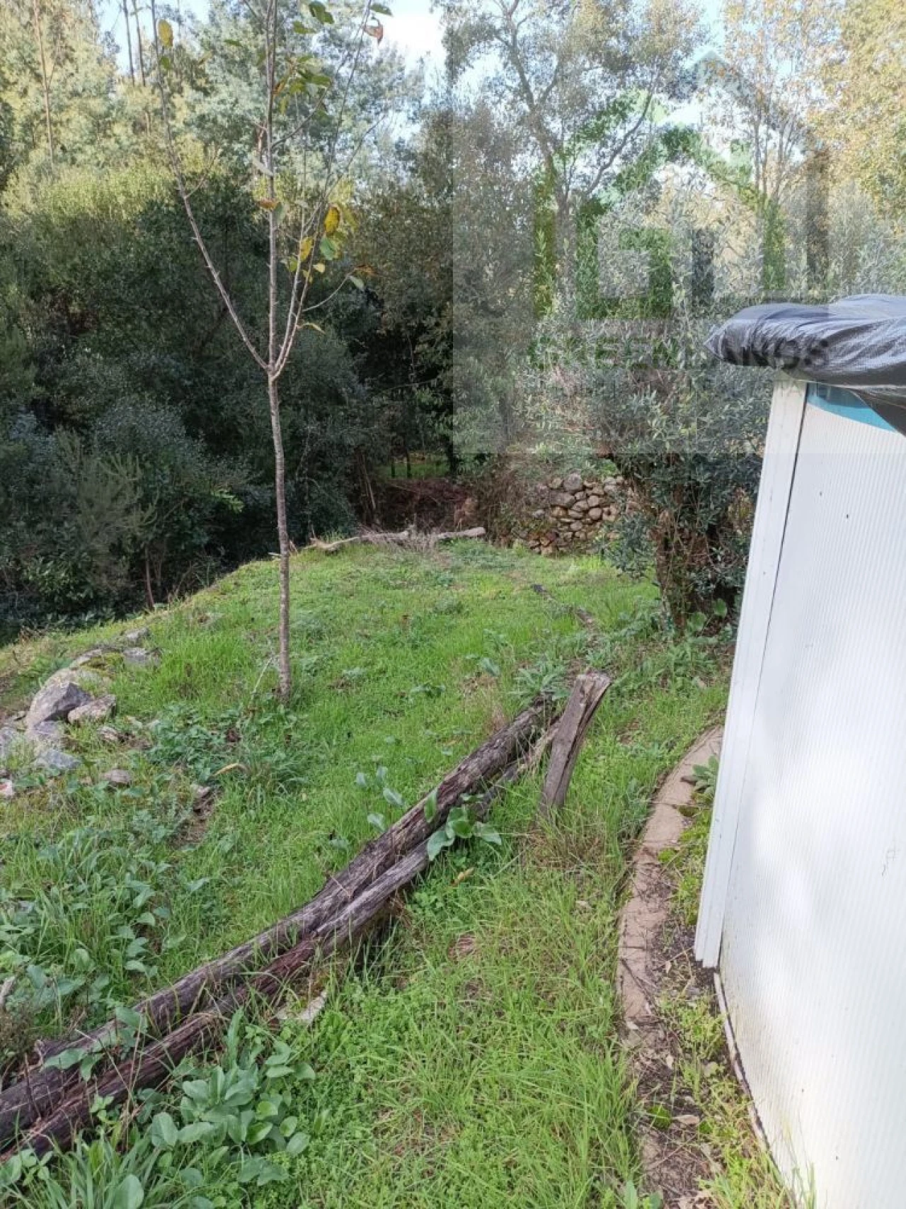 Quinta T2 para Venda em Vila Nova do Ceira Foto 19