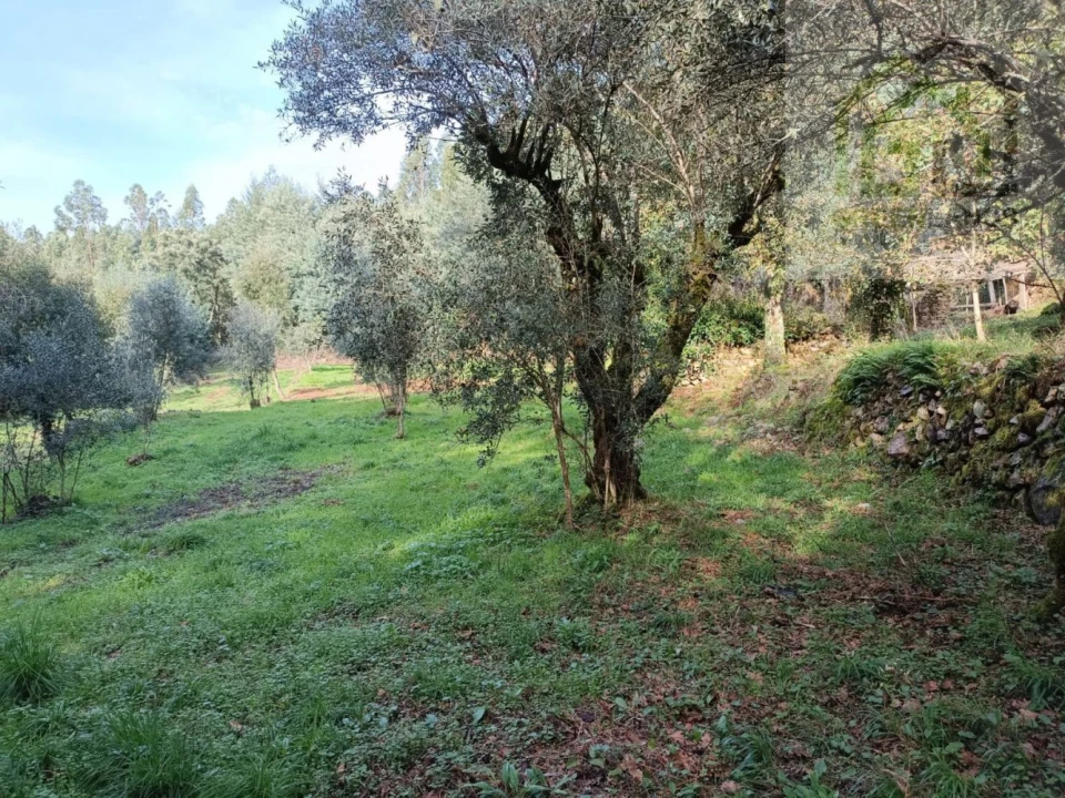 Quinta T2 para Venda em Vila Nova do Ceira Foto 23