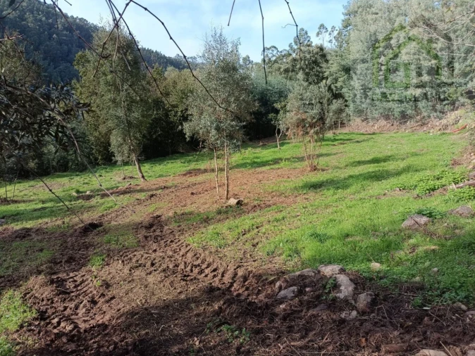 Quinta T2 para Venda em Vila Nova do Ceira Foto 22