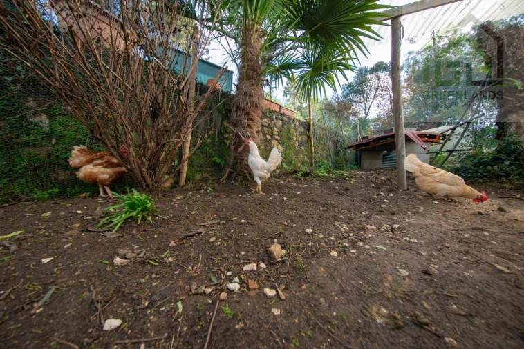 Quinta T2 para Venda em Vila Nova do Ceira Foto 10