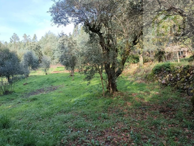 Quinta T2 para Venda em Vila Nova do Ceira Foto 23