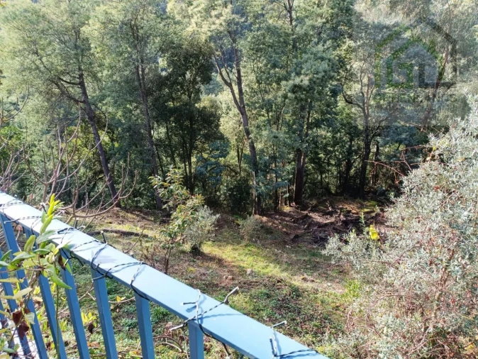 Quinta T2 para Venda em Vila Nova do Ceira Foto 13