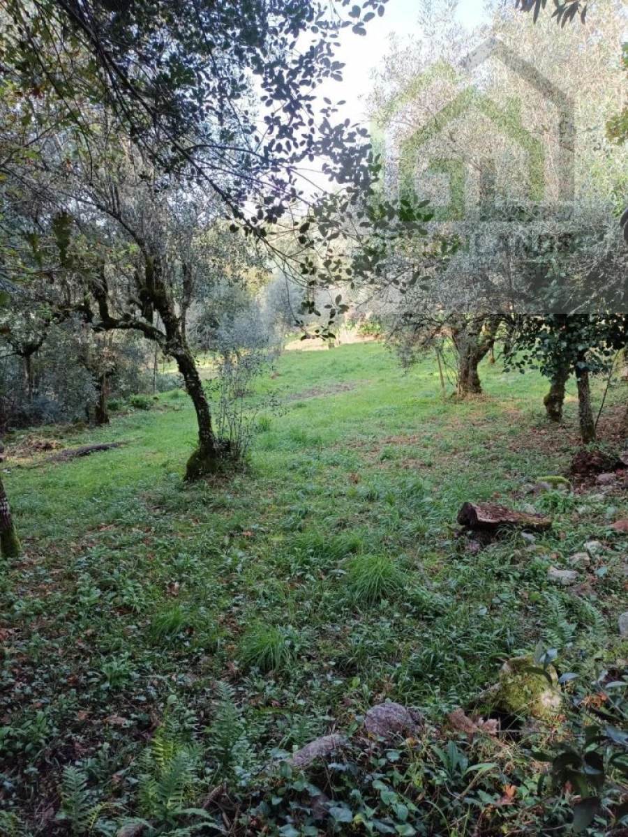 Quinta T2 para Venda em Vila Nova do Ceira Foto 21