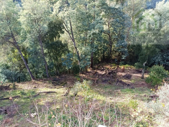 Quinta T2 para Venda em Vila Nova do Ceira Foto 11