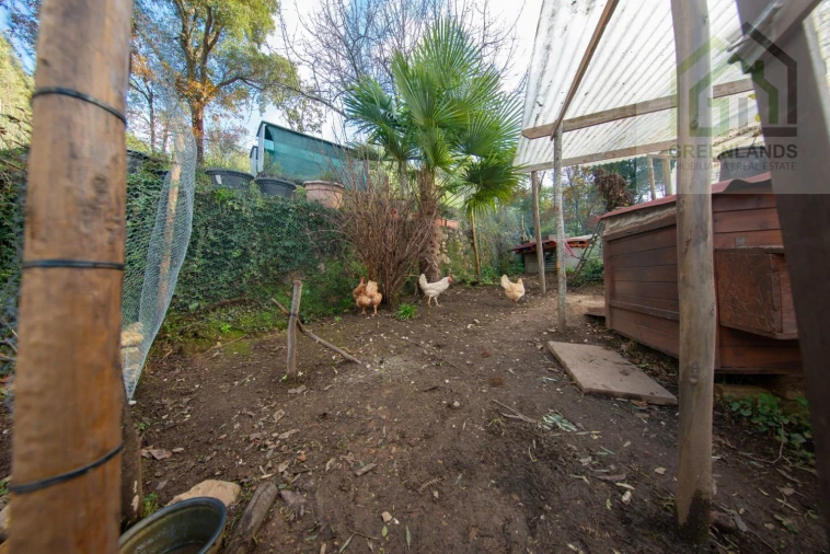 Quinta T2 para Venda em Vila Nova do Ceira Foto 9