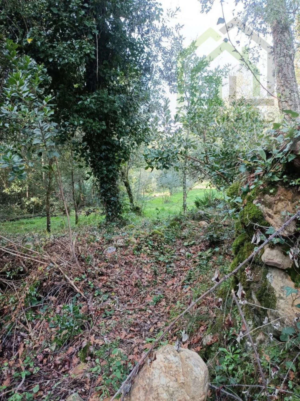 Quinta T2 para Venda em Vila Nova do Ceira Foto 20