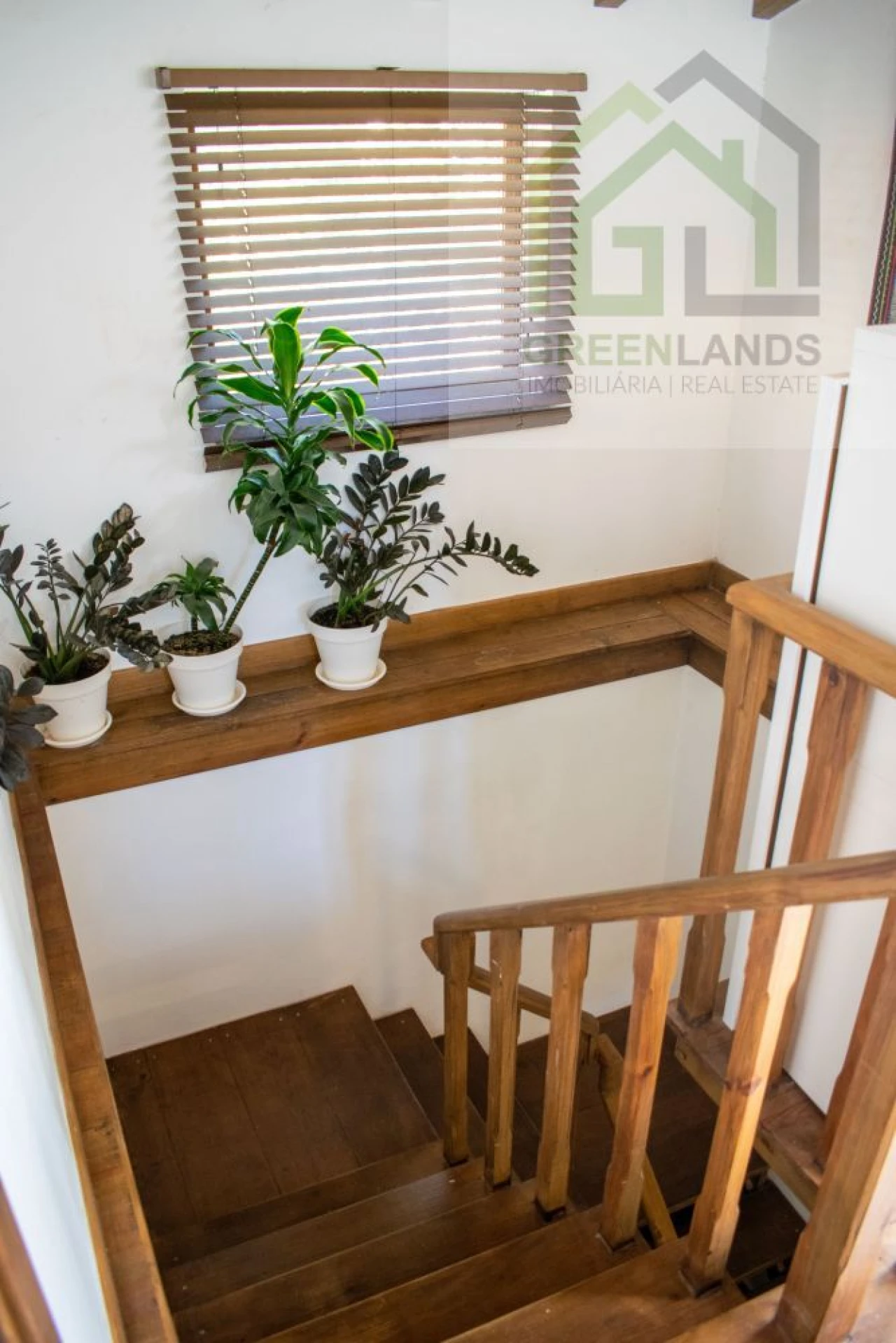 Quinta T2 para Venda em Vila Nova do Ceira Foto 39