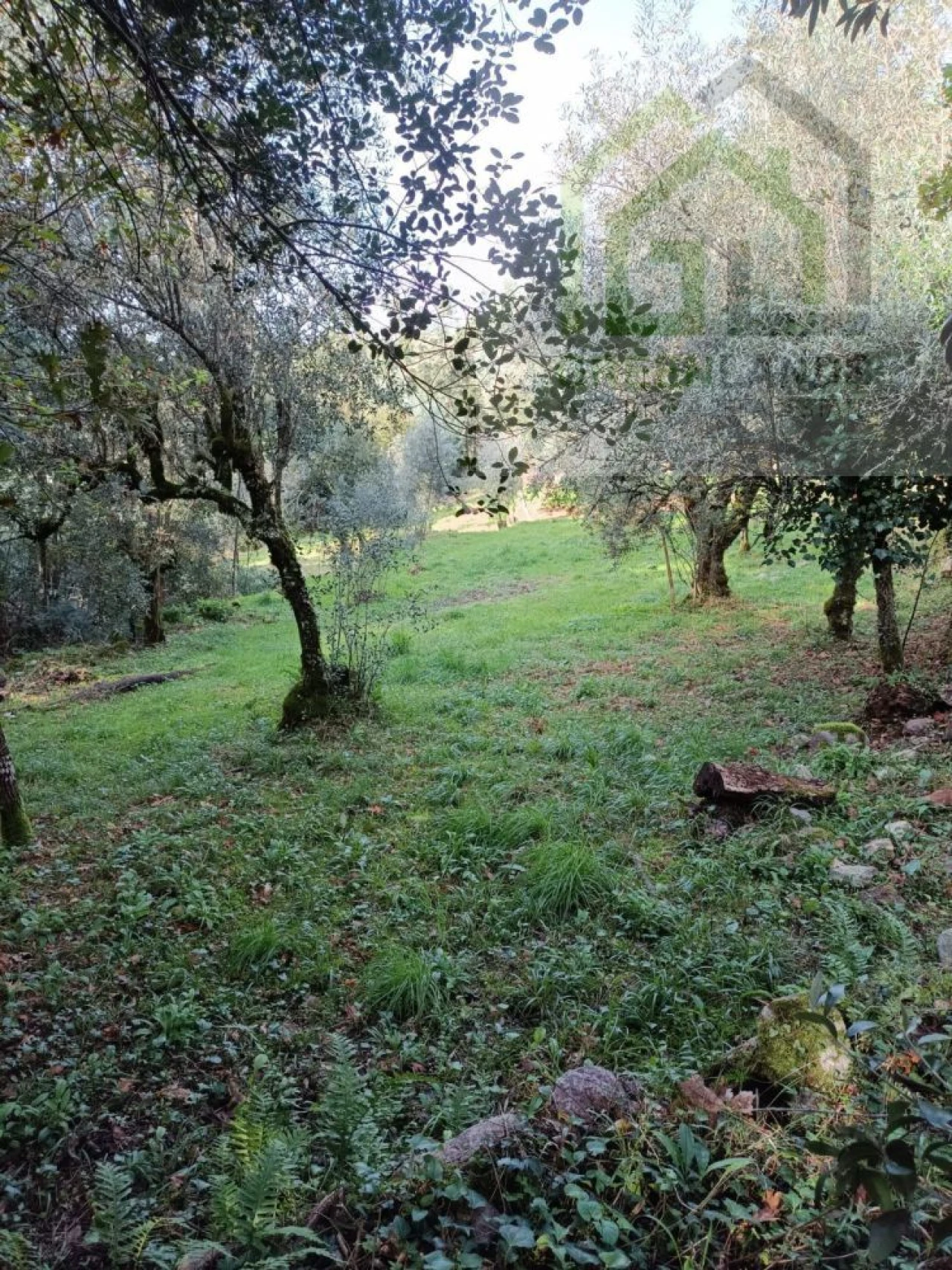 Quinta T2 para Venda em Vila Nova do Ceira Foto 21