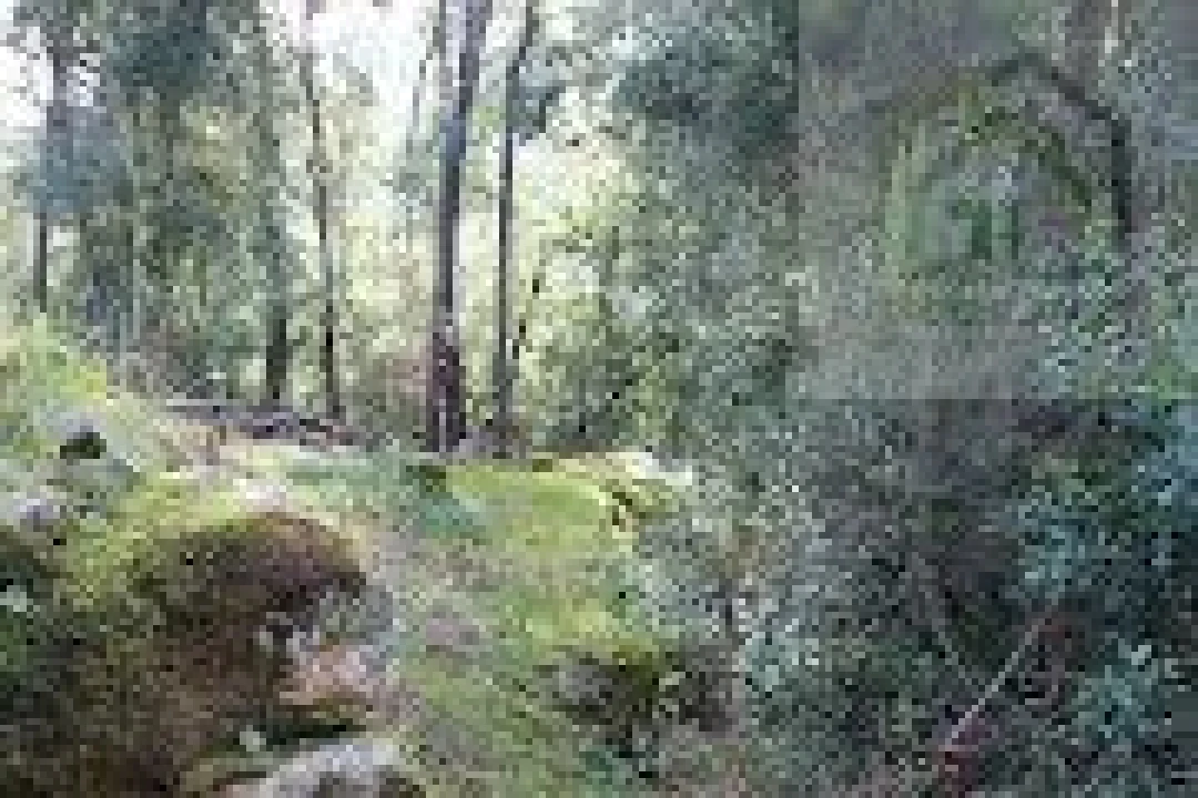 Quinta T2 para Venda em Vila Nova do Ceira Foto 24