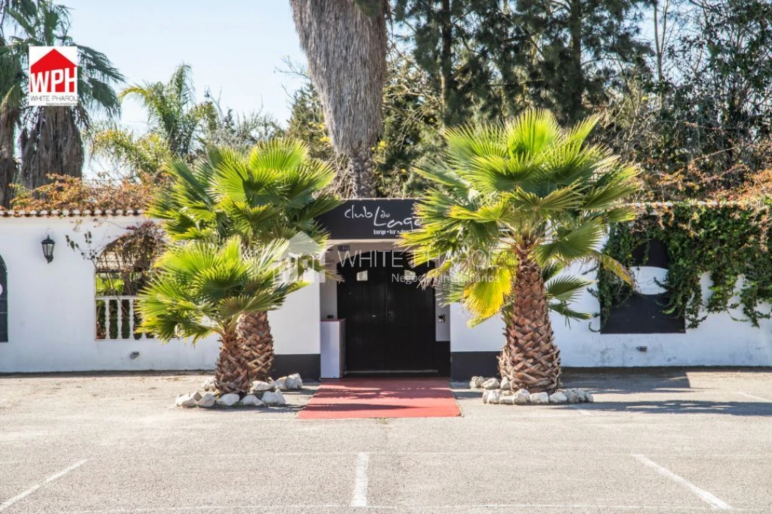 Terreno para Venda em Benavente Foto 5