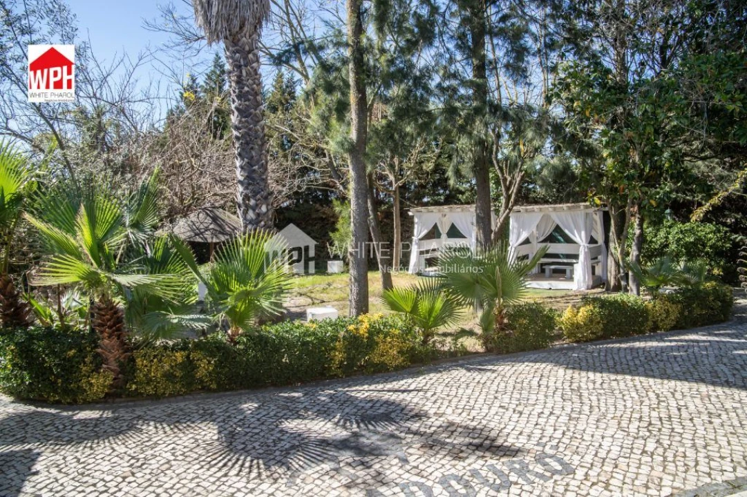 Terreno para Venda em Benavente Foto 8