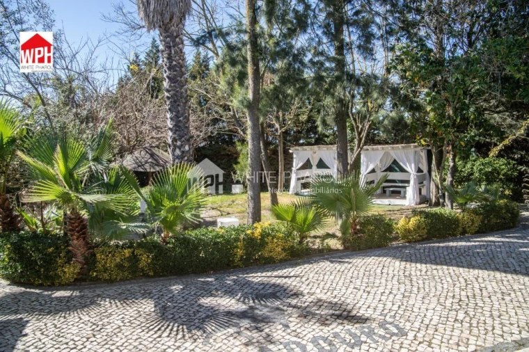 Terreno para Venda em Benavente Foto 8