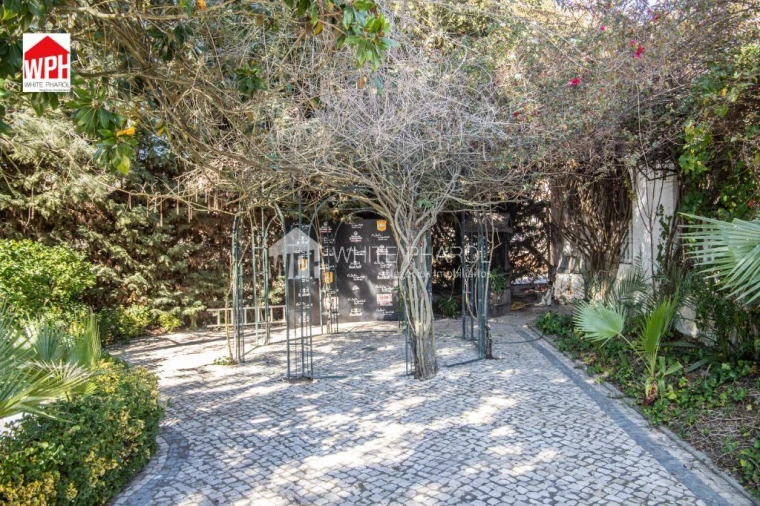 Terreno para Venda em Benavente Foto 9