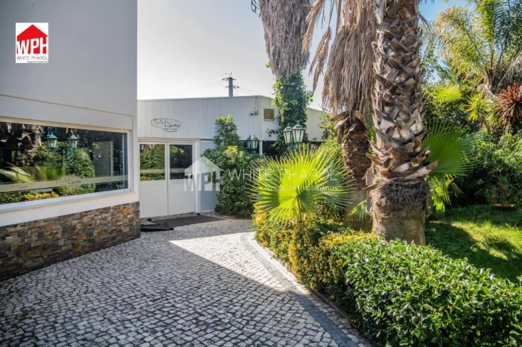 Terreno para Venda em Benavente Foto 13