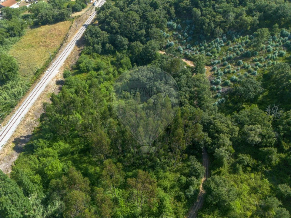 Terreno para Venda em Igreja Nova e Cheleiros Foto 6