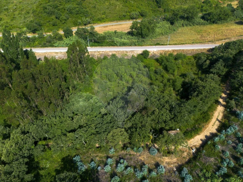 Terreno para Venda em Igreja Nova e Cheleiros Foto 4
