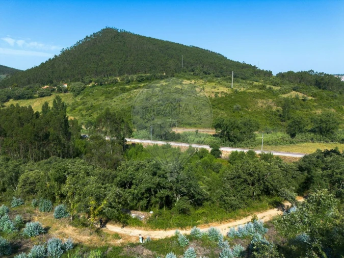 Terreno para Venda em Igreja Nova e Cheleiros Foto 2
